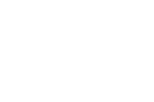 arma-white