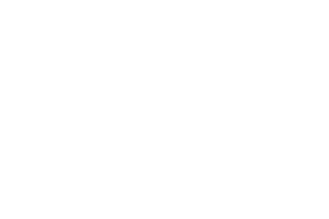 kleinunits-white