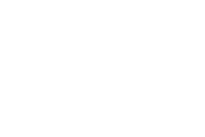 toppoint-white