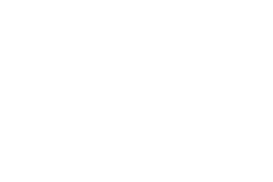Avinom