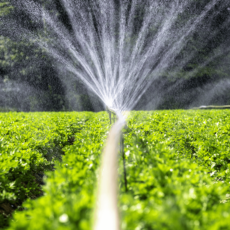KCS-Waterworks-integrated-solution