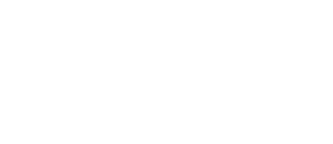 gs-interfer-logo-white