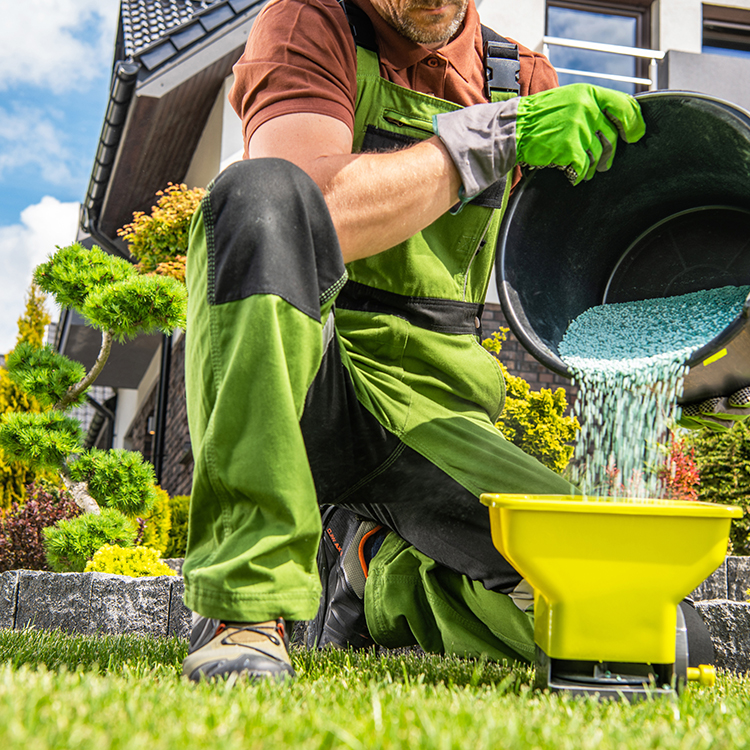 Wholesale Distribution Gardening Inpage_1