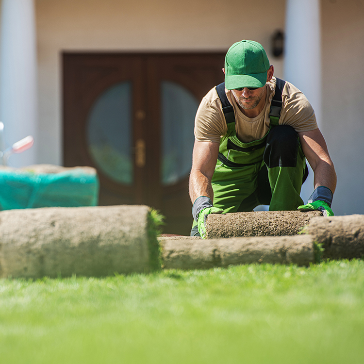 Wholesale Distribution Gardening Inpage_4