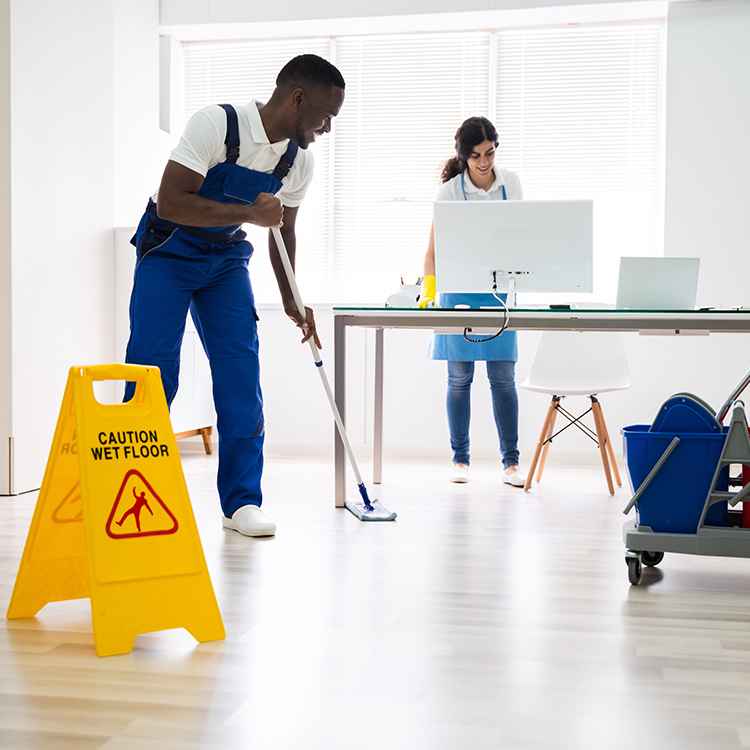 Wholesale Distribution Janitorial_v2_Inpage