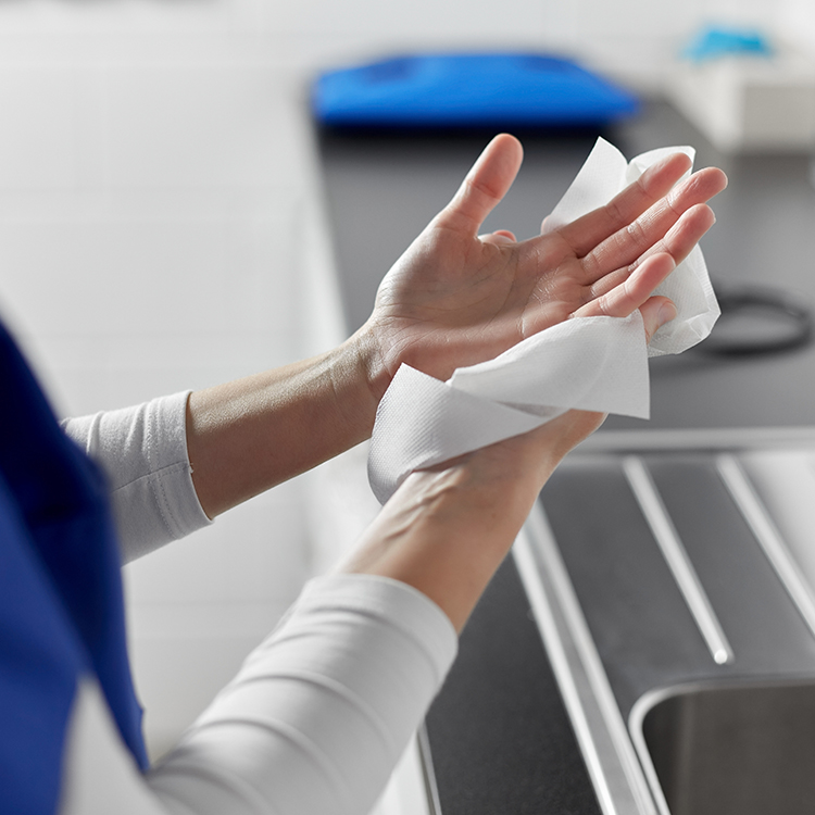 Wholesale Distribution Paper Hygiene_v1_Inpage