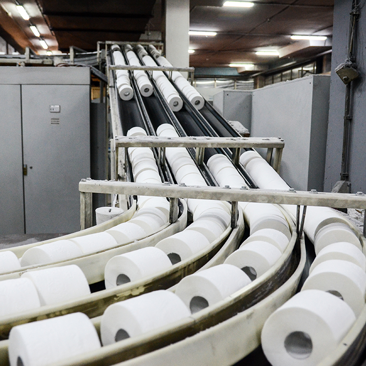 Wholesale Distribution Paper Hygiene_v3_Inpage